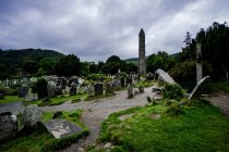 Irish day tours